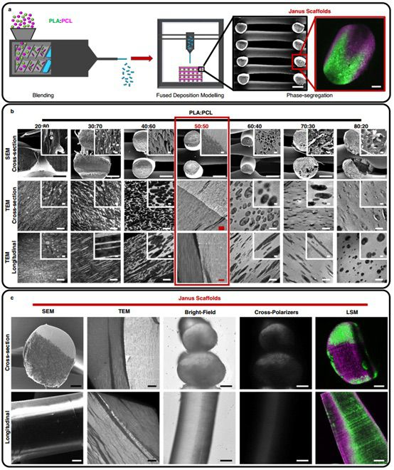 3D打印可被超聲激振的生物支架加速骨再生